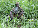 New Report: The LRA of Today